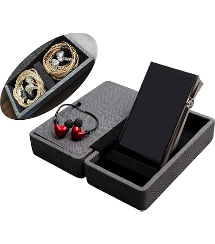 Amazon.com: Carrying Case Storage Box for Sony Walkman NW-WM1AM2